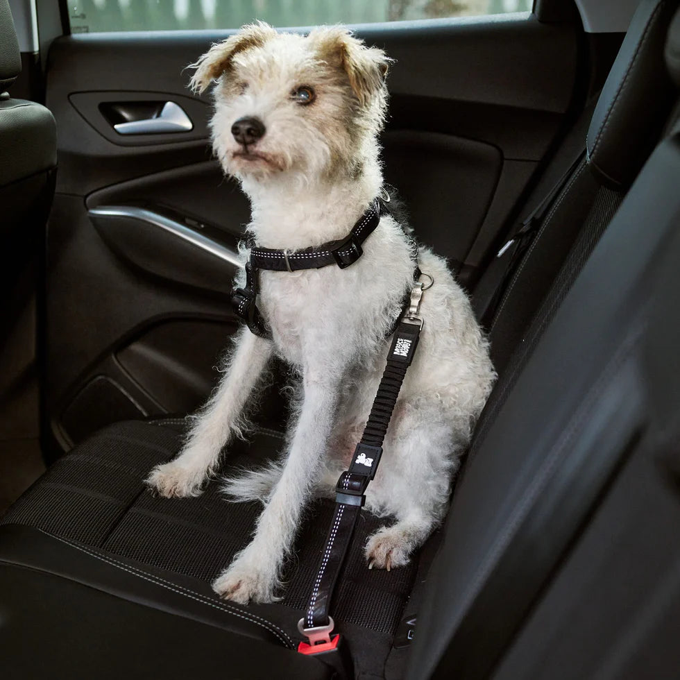 Car Seat Belt Matrix 2.0 Max & Molly para perros