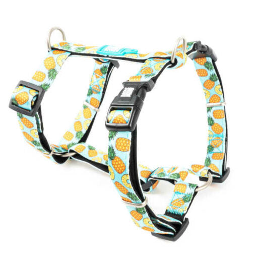 Arnés H Sweet Pineapple Max & Molly para perros
