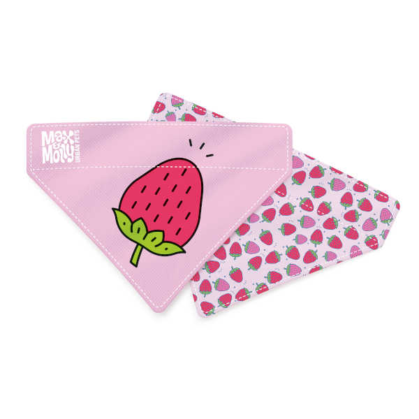 Bandana Strawberry Dreams Max & Molly para perros