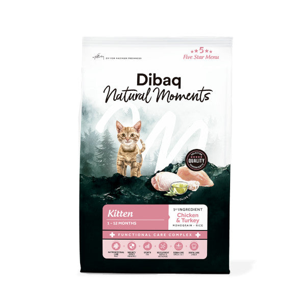 Dibaq Natural Moments Cat Kitten