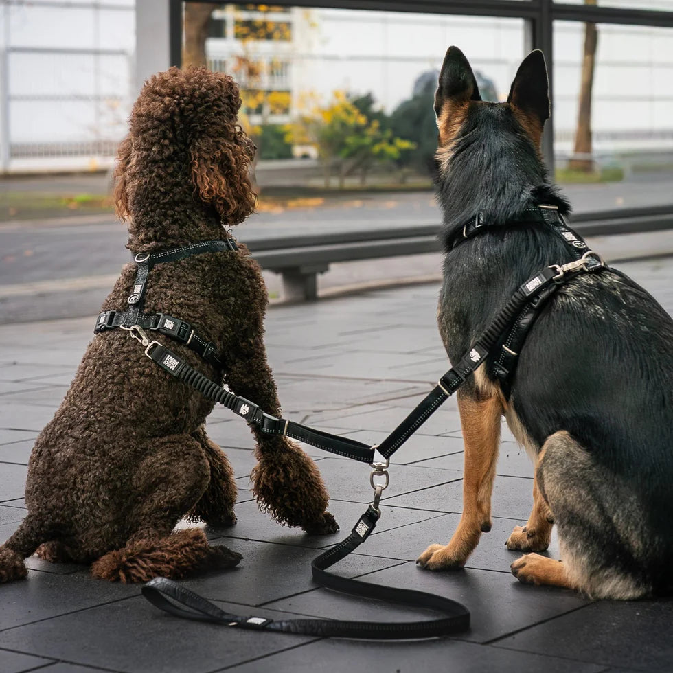 Double Leash Matrix 2.0 Max & Molly para perros