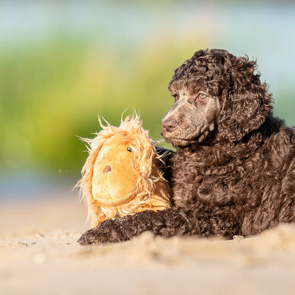 Huggles Toy - Lion George Max & Molly para perros