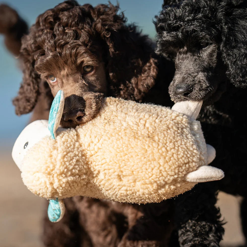 Huggles Toy - Sheep Barbara Max & Molly para perros