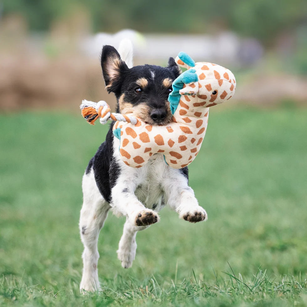 Huggles Toy - Giraffe Jerry Max & Molly para perros