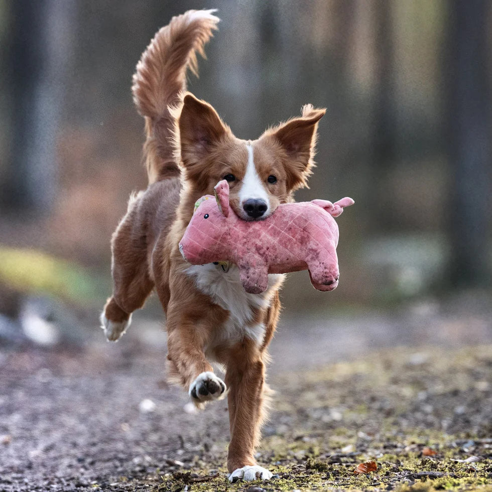 Huggles Toy - Pig Hamlet Max & Molly para perros