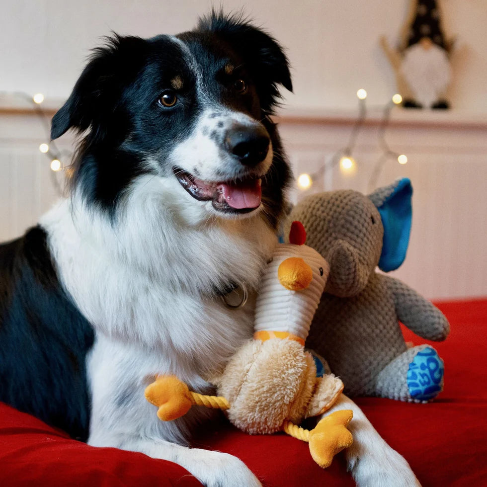 Huggles Toy - Chicken Eggsy Max & Molly para perros