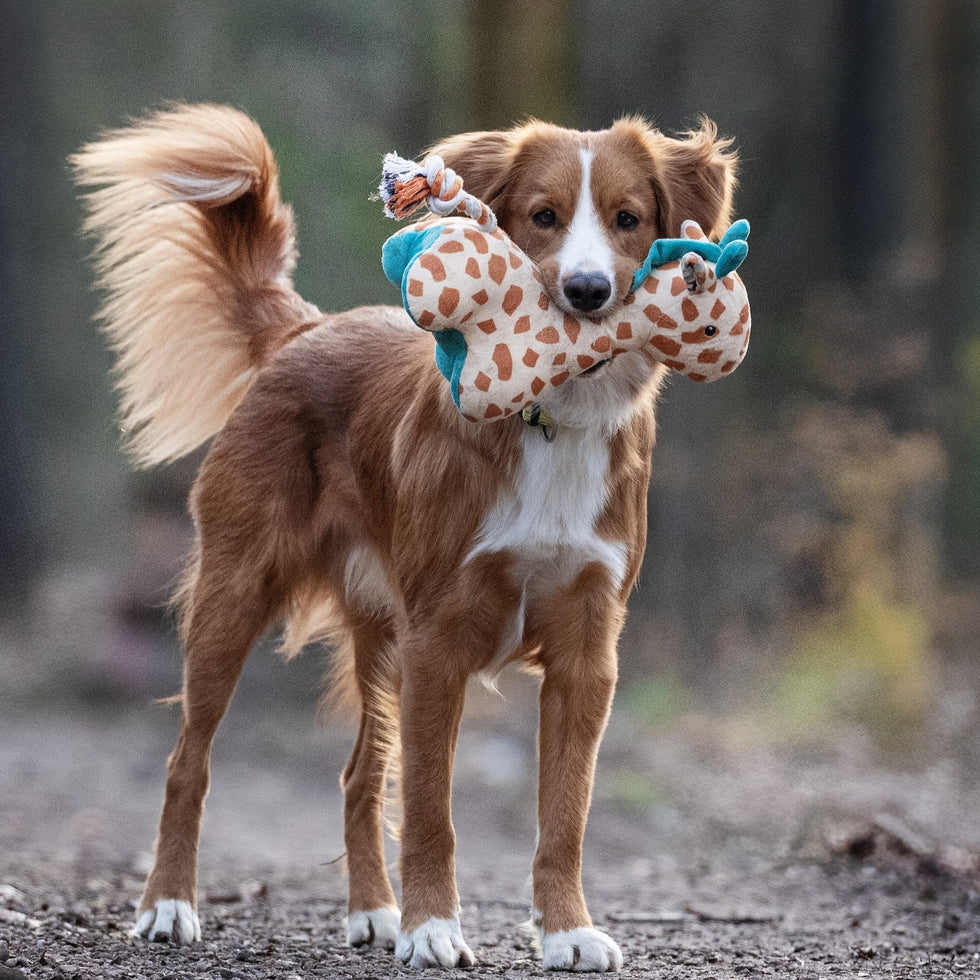 Huggles Toy - Giraffe Jerry Max & Molly para perros