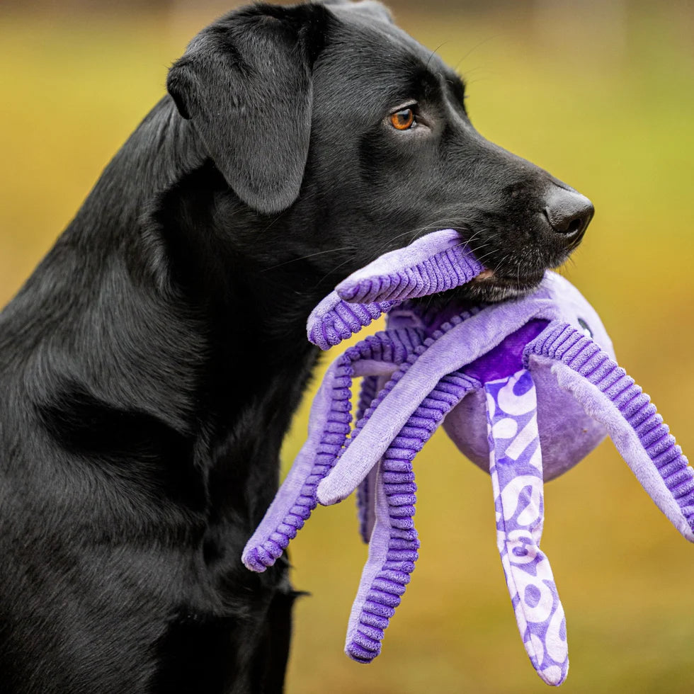 Huggles Toy - Octopus Leila Max & Molly para perros