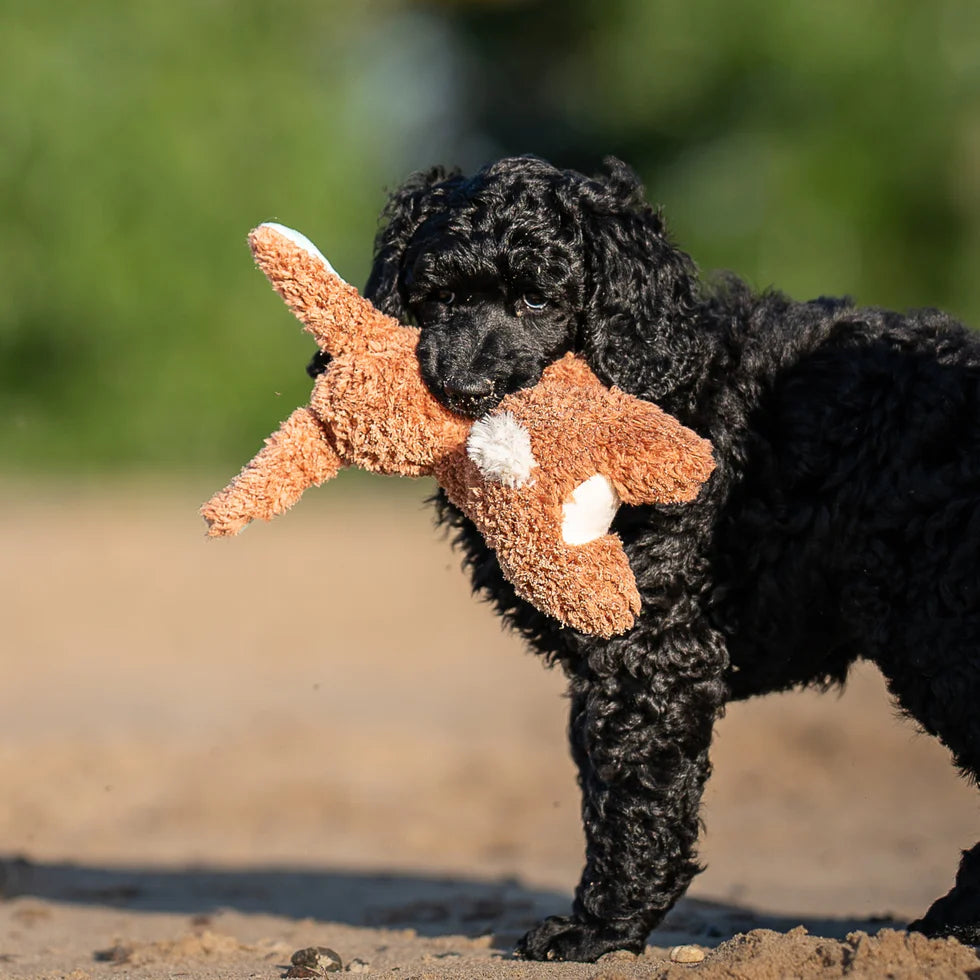 Huggles Toy - Rabbit Lotta Max & Molly para perros