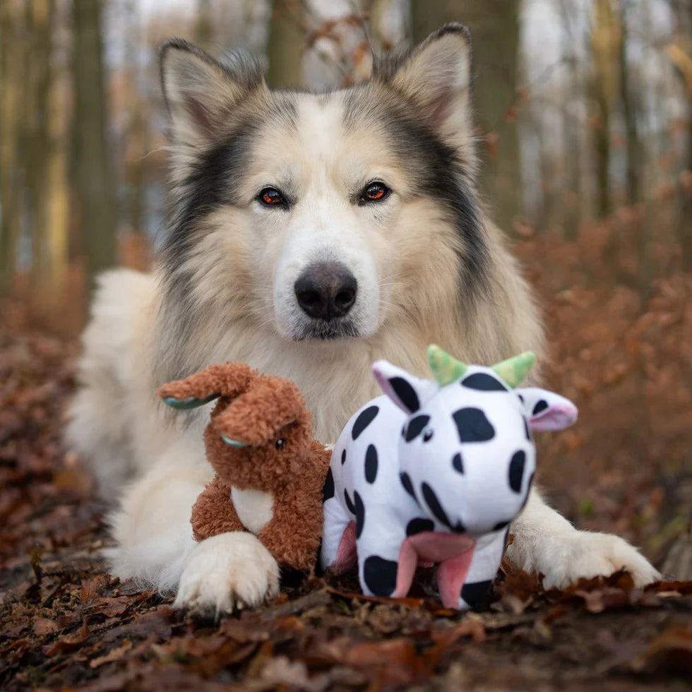 Huggles Toy - Rabbit Lotta Max & Molly para perros