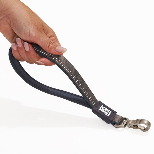 Handle Leash Matrix 2.0 Stone Max & Molly para perros
