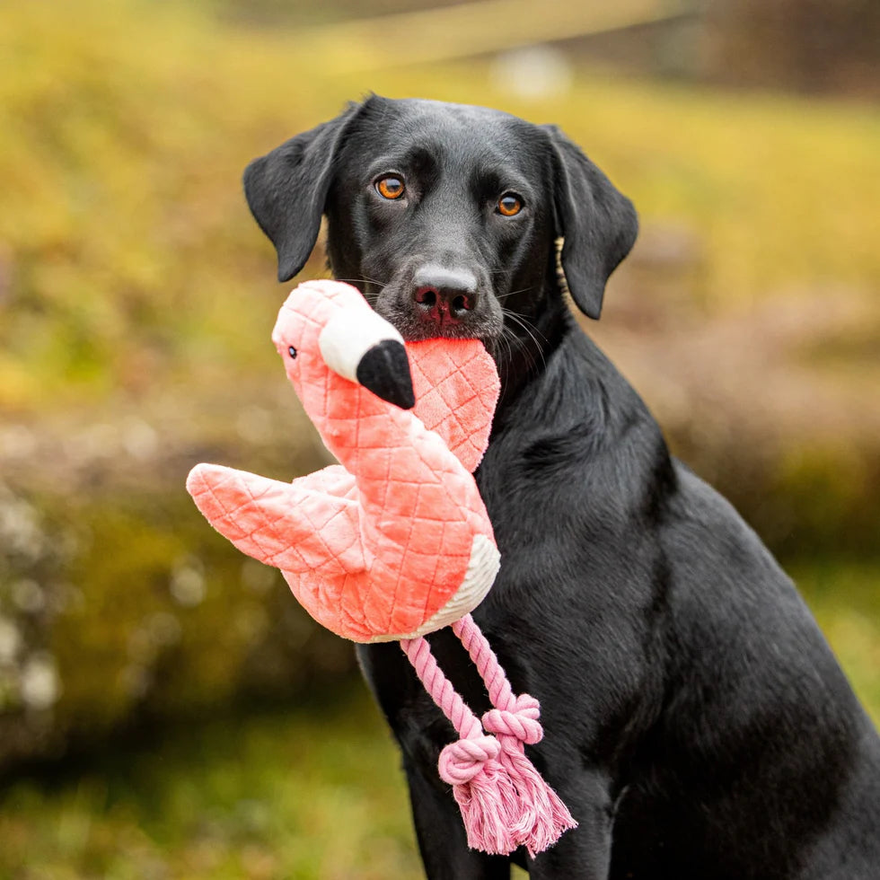 Huggles Toy - Flamingo Sunny Max & Molly para perros