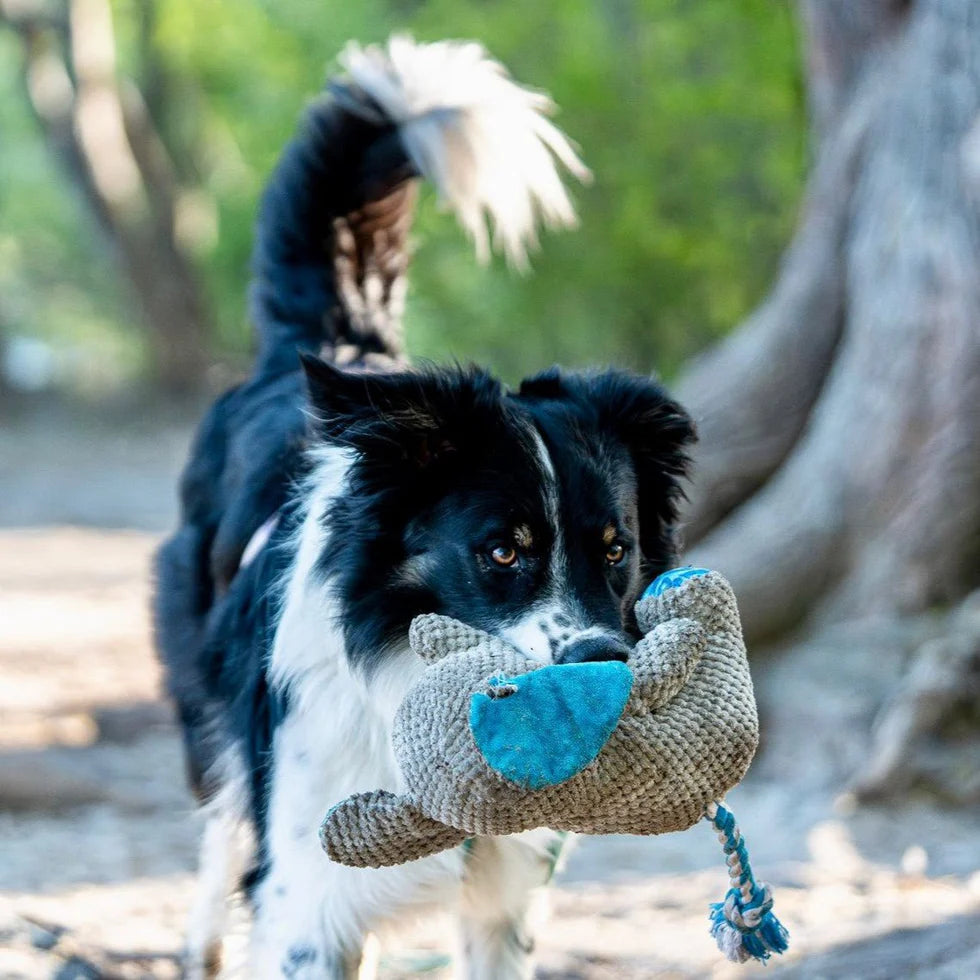 Huggles Toy - Elephant Susi Max & Molly para perros