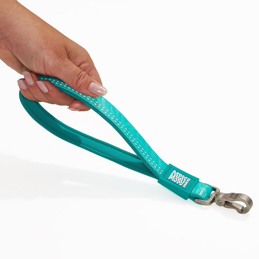 Handle Leash Matrix 2.0 Turquoise Max & Molly para perros