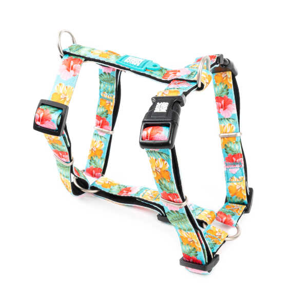 Arnés H Exotique Max & Molly para perros
