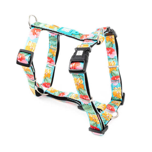 Arnés H Exotique Max & Molly para perros