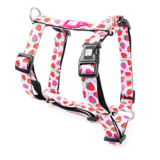 Arnés H Strawberry Dream Max & Molly para perros
