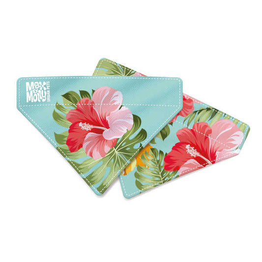 Bandana Exotique Max & Molly para perros