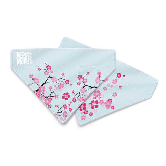 Bandana Cherry Bloom Max & Molly para perros
