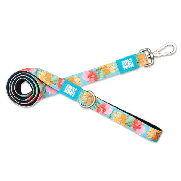 Correa Corta Exotique Max & Molly para perros