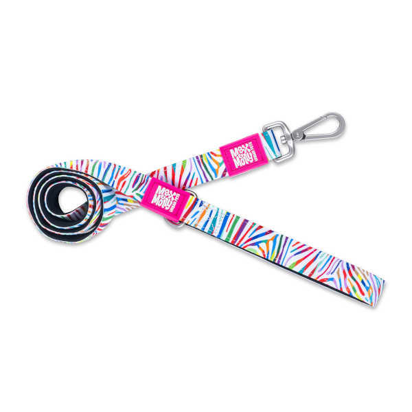 Correa Corta Magic Zebra Max & Molly para perros