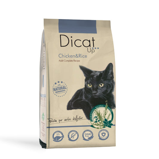 Dicat Up Gatos adulto pollo y arroz