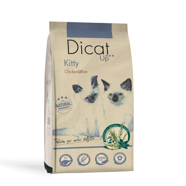 Dicat Up kitten pollo y arroz